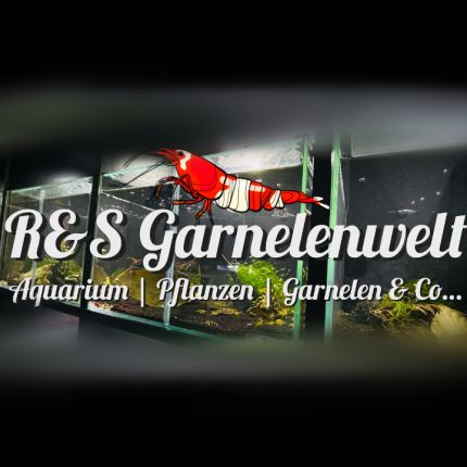 Logo da R&S Garnelenwelt Online Shop