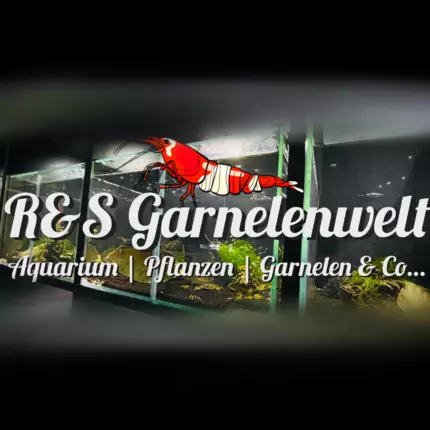 Logo da R&S Garnelenwelt Online Shop