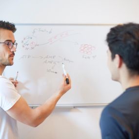 Bild von THerapie.Welt - Physiotherapie und Komplementärmedizin in München Haidhausen