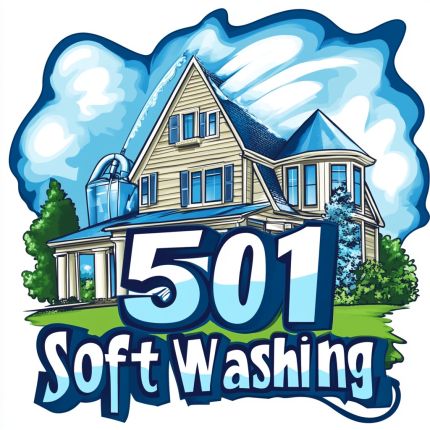 Logotyp från 501 Soft Washing