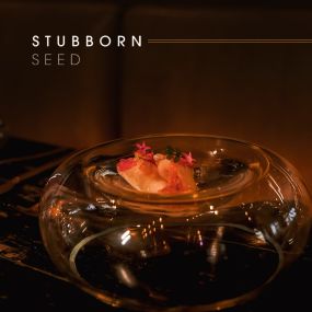 Bild von Stubborn Seed