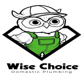 Bild von Wise Choice Domestic Plumbing