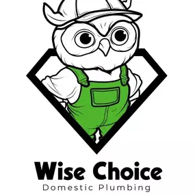 Bild von Wise Choice Domestic Plumbing