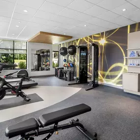 Health club  fitness center  gym