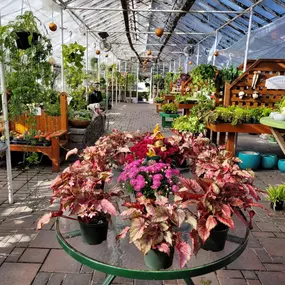 Bild von Puritas Nursery & Garden Center