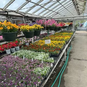 Bild von Puritas Nursery & Garden Center