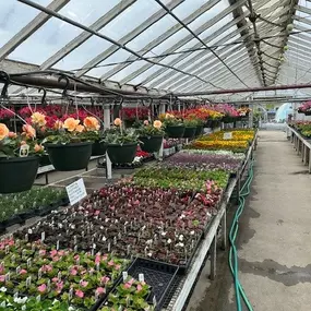 Bild von Puritas Nursery & Garden Center