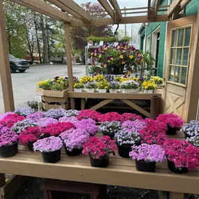 Bild von Puritas Nursery & Garden Center