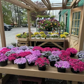 Bild von Puritas Nursery & Garden Center