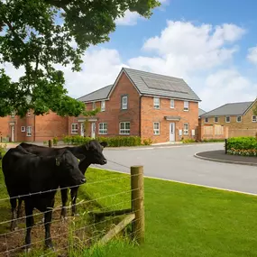 Bild von Barratt Homes - Carleton Chase