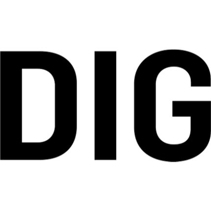 Logo da DIG