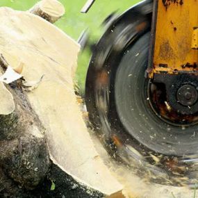 Our stump grinding process is quick and efficient, as we utilize the latest equipment.