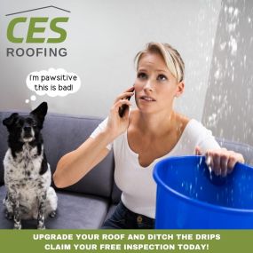 Bild von CES Roofing