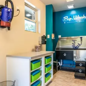 Pet wash station