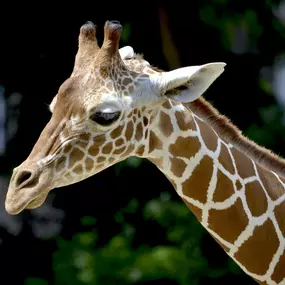 Bild von Holiday Inn - the niu, Belt Frankfurt Eschborn by IHG