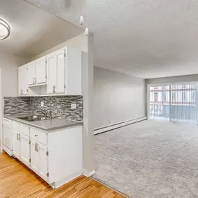 Kitchen and Living Room Area