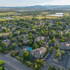 Aerial View of the Community