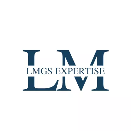 Logo de LMGS-EXPERTISE