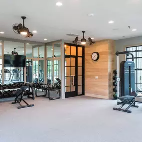 a gym with weights and a tv on the wall and windows