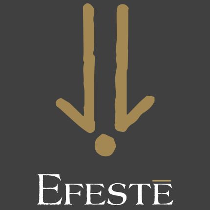 Logo da EFESTE