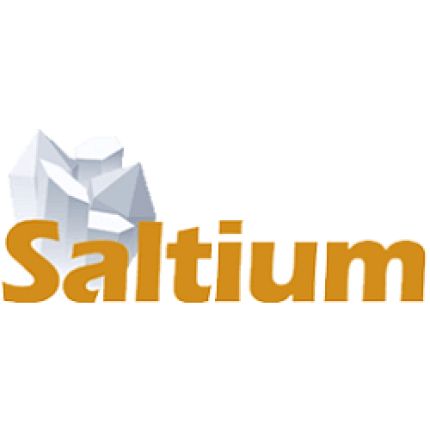 Logo de SALTIUM MADRID. Haloterapia en Madrid. Cuevas de Sal