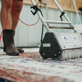 Oriental Rug Cleaning in Oxford, MS