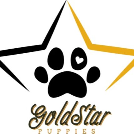 Logo od GoldStar Puppies