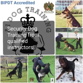 Bild von A1 Security Dogs