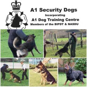 Bild von A1 Security Dogs