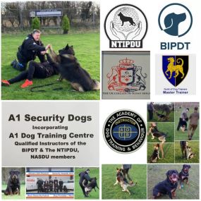 Bild von A1 Security Dogs