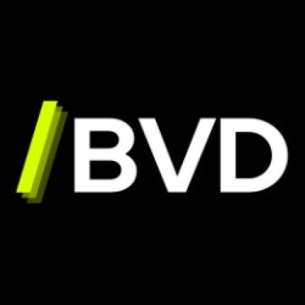 Logo da BVD Consulting