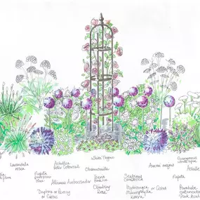 Bild von Michaela Day Garden Design