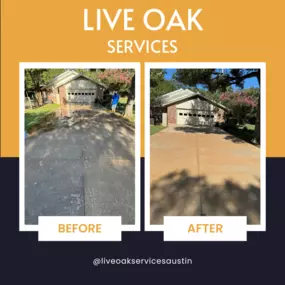 Bild von Live Oak Exterior Cleaning