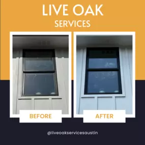 Bild von Live Oak Exterior Cleaning