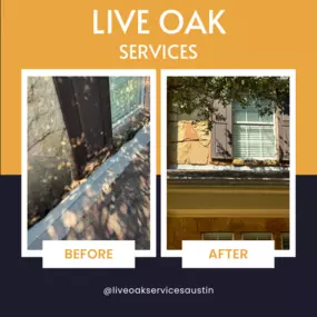 Bild von Live Oak Exterior Cleaning