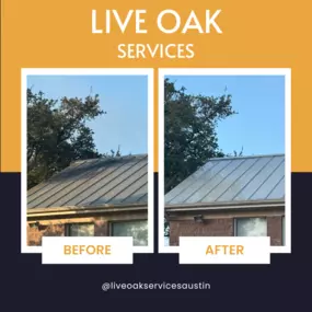 Bild von Live Oak Exterior Cleaning