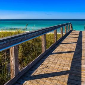 Enjoy St. Andrews State Park featuring nature trails, bird watching, and beautiful beaches