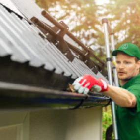 Gutter Cleaning