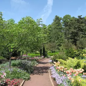 Immerse yourself in the widely-recognized, Duke Gardens