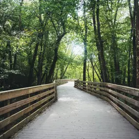 Explore the best nearby trails in Durham, including the American Tobacco Trail