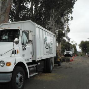 Bild von So Cal Tree Care Inc.