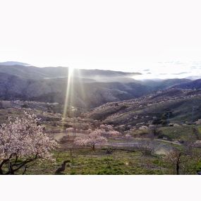 Bild von Vinos Y Bodega Piedras Blancas