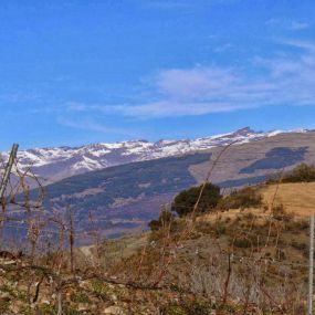 Bild von Vinos Y Bodega Piedras Blancas