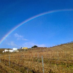 Bild von Vinos Y Bodega Piedras Blancas