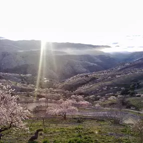 Bild von Vinos Y Bodega Piedras Blancas