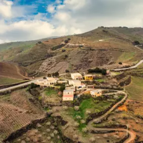 Bild von Vinos Y Bodega Piedras Blancas