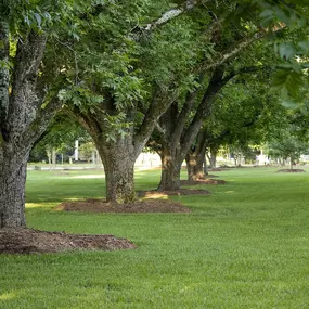 Bild von Millican Pecan Company - San Saba, Texas