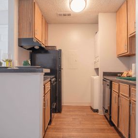 Kitchen with double galley style