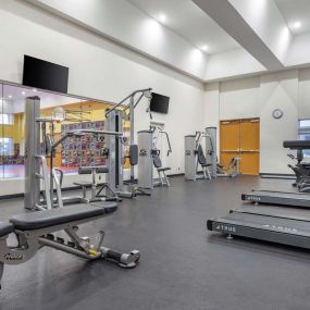 Health club  fitness center  gym