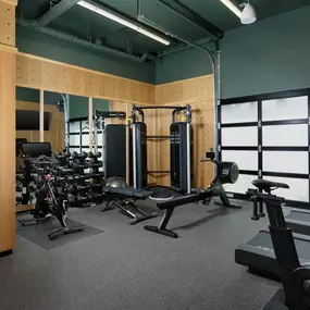 Health club  fitness center  gym